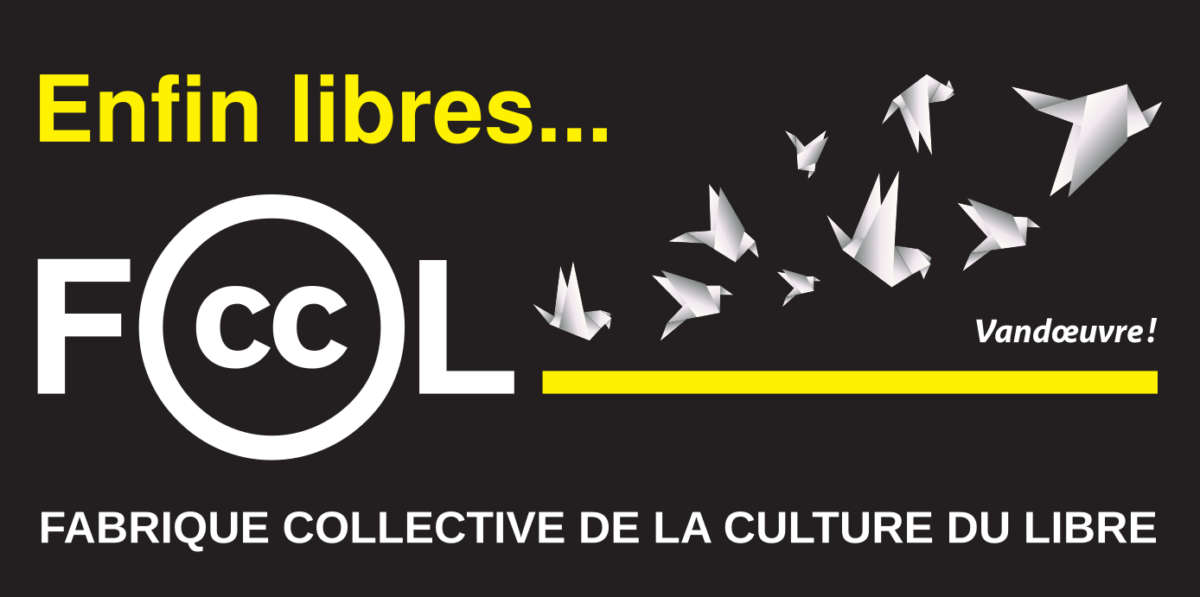 Bannière Infolettre FCCL